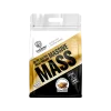 Massive Mass 3,5kg – Super High Calorie Gainer | Chocolate Fudge