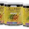 COLLMAR MAGNESIO CURCUMA LIMON 300G DRASANVI (Pack 3u.)